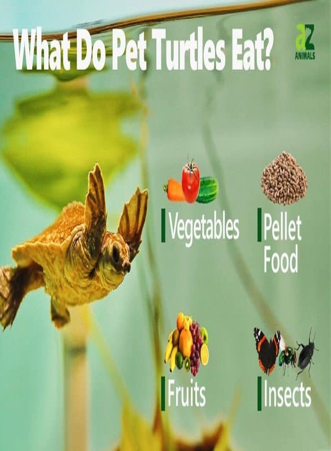 VAYINATO WA Turtle Tortoise Nutra Feed Floating Food Sticks, 500ML - Image 5
